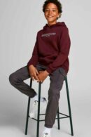 Jack & Jones 12192453 Port Royale Hoodie