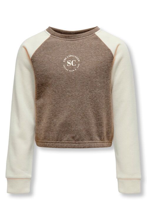 ONLY 15275728 Sweatshirt Brun