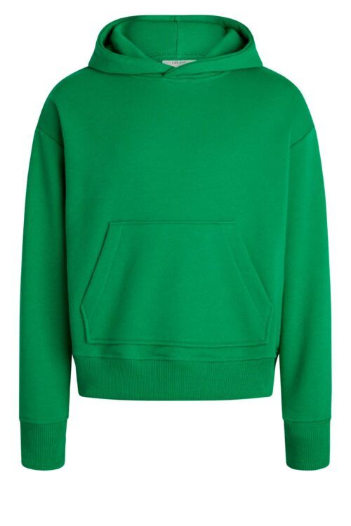 Grunt 2023-166 Hoodie Grøn