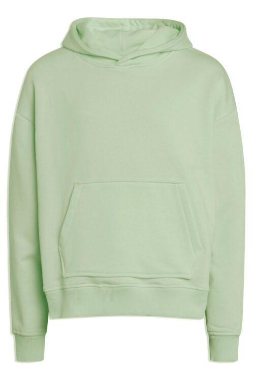 Grunt 2023-166 Hoodie Lys Grøn