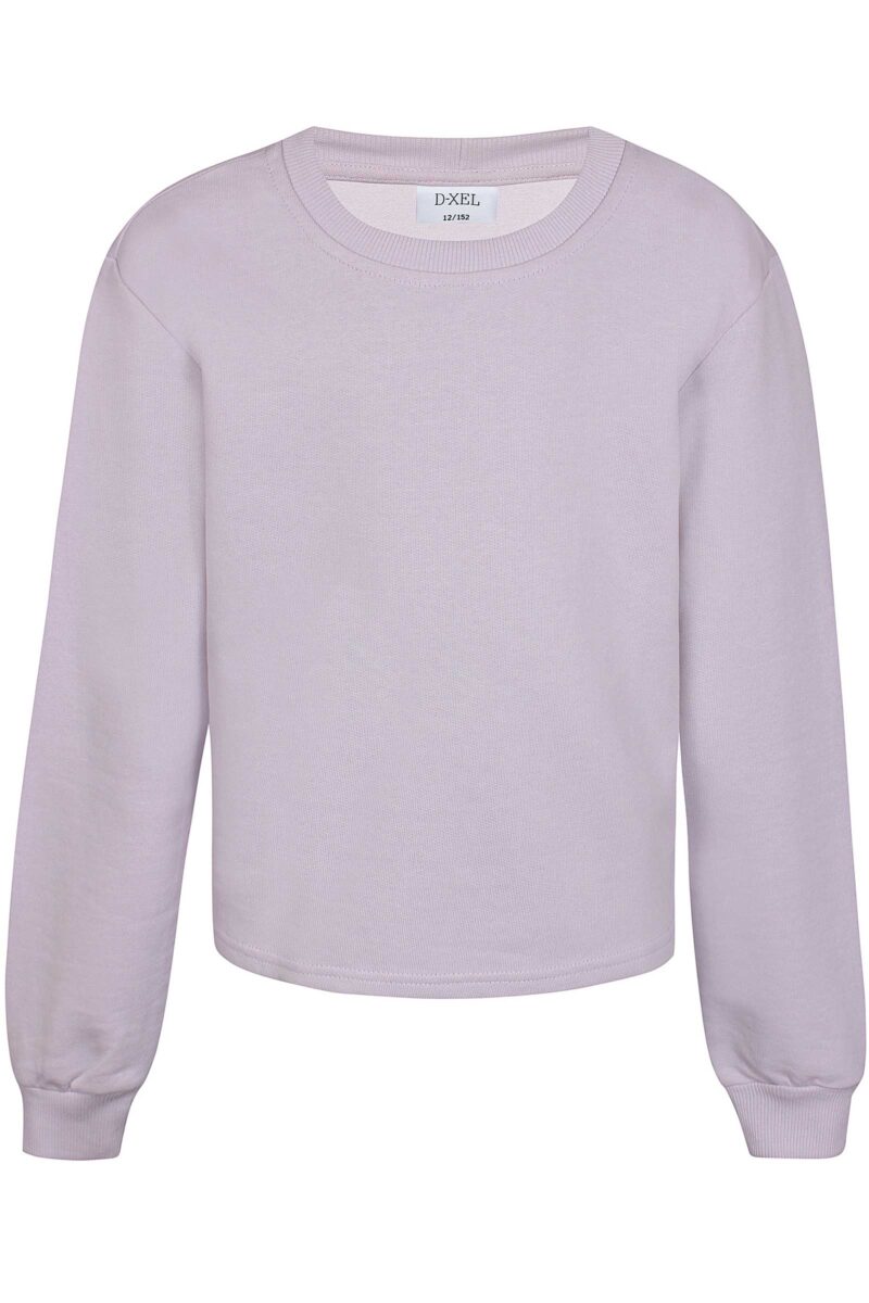 D-XEL 4302802 4402 Sweatshirt Lilla
