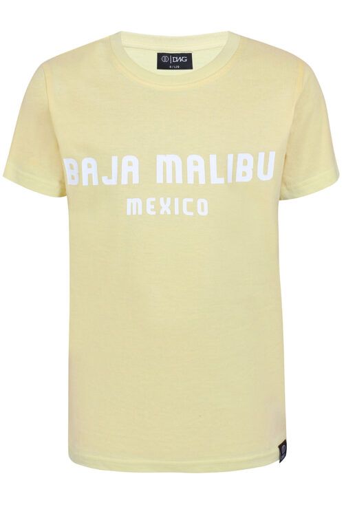 DWG 4304173-02121 T-Shirt Gul