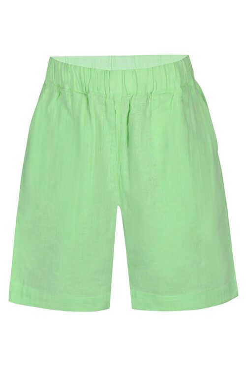 D-xel 4604595 6267 Shorts Grøn