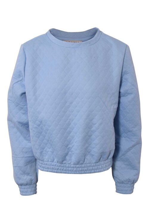 HOUNd 7210276-302 Sweatshirt Blå