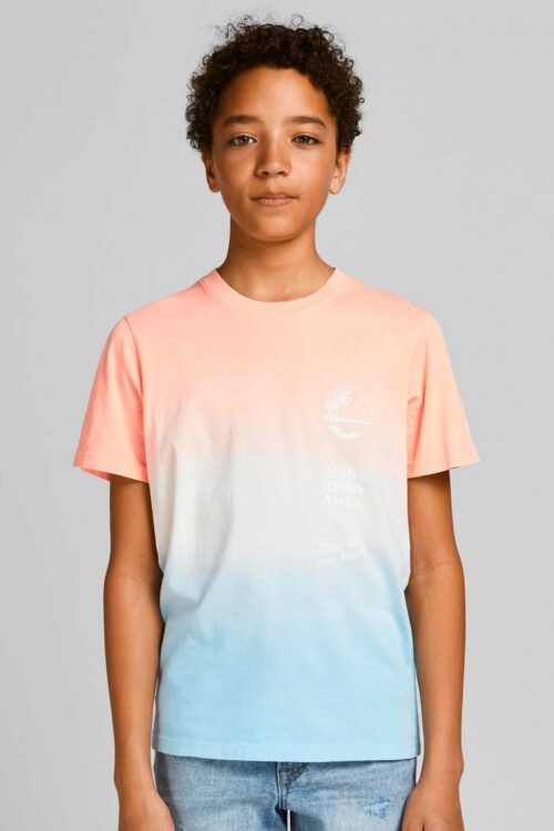Jack & Jones 12189134 T-Shirt Blå/Pink