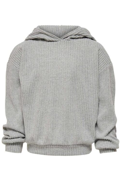 ONLY 15238488 Hoodie Grå