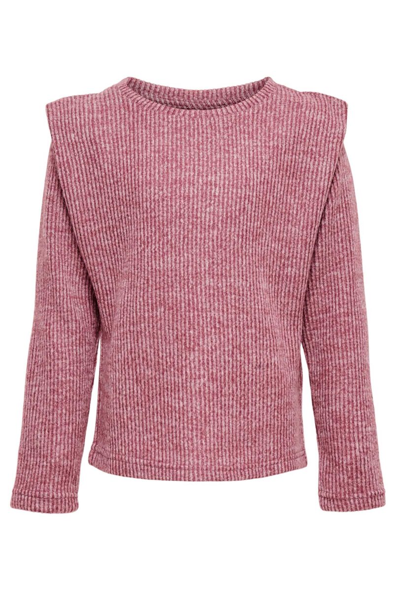 ONLY 15241916 Langærmet Top Lilla